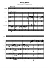 D. Lovreglio - L'eco di Napoli - Capriccio. Adaptation and orchestration for Ottavino and Archi by Renato Insinna