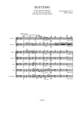 F. Doppler - Duettino, on american traditional songs. Arrangement for 2 Piccolo and String Orchestra by Renato Insinna